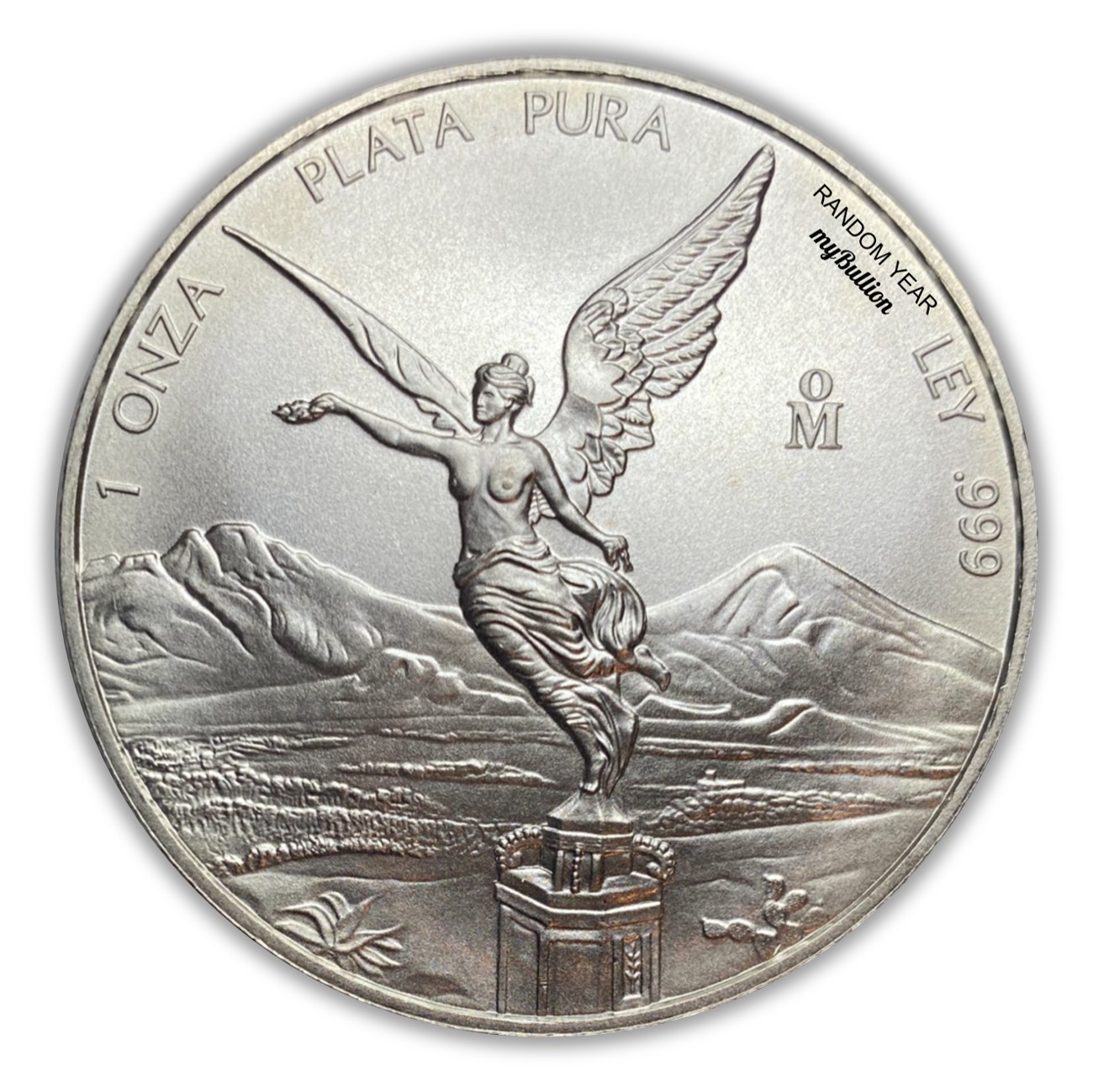 2010-19 Mexico Libertad 1 oz Silver Coin