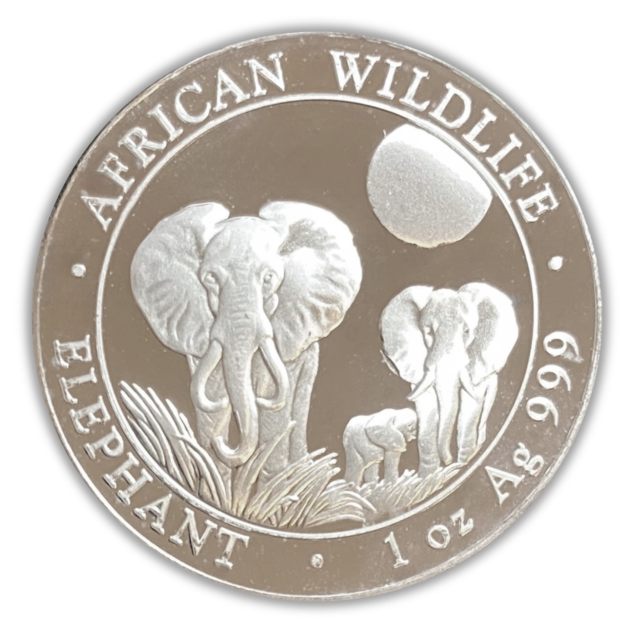 2014 Somalia Elephants 1 oz Silver Coin