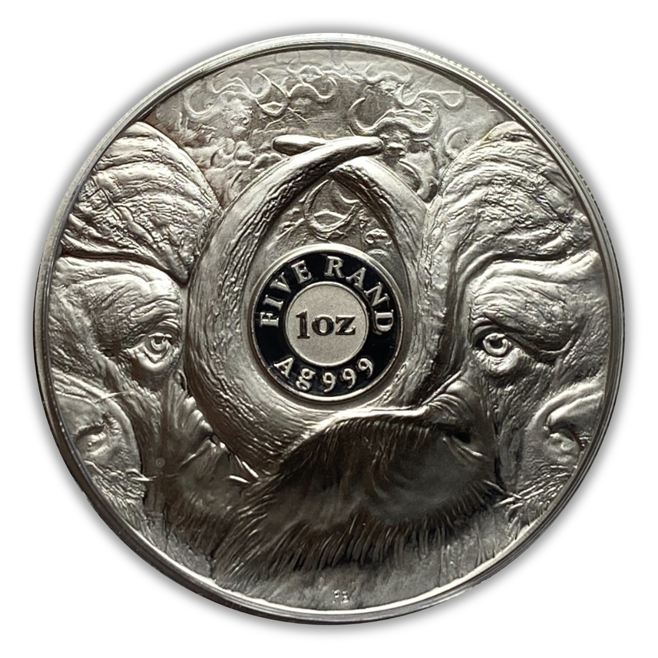 South Africa 2021 Big Five Buffalo 2 x 1 oz Silver Proof Coin