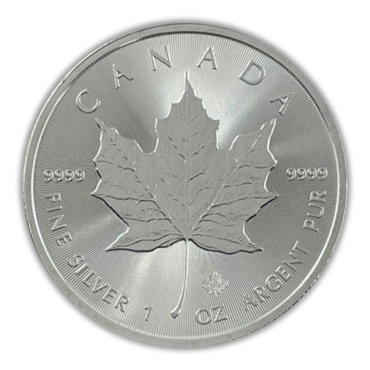 Canadian Maple 1 oz Silver Coin - Random Year